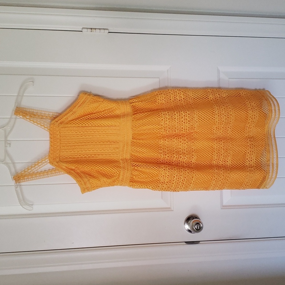 Tahari ASL Honey On My Mind Lace Apron Neck Dress Size 2 NEW - Picture 3 of 10